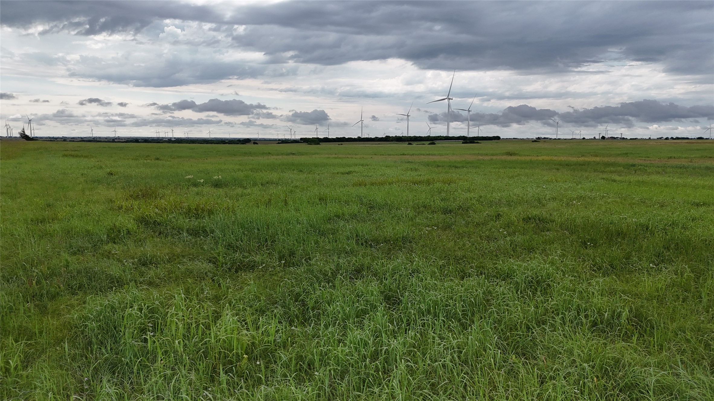 Tbd County Road 431 Muenster TX 76252