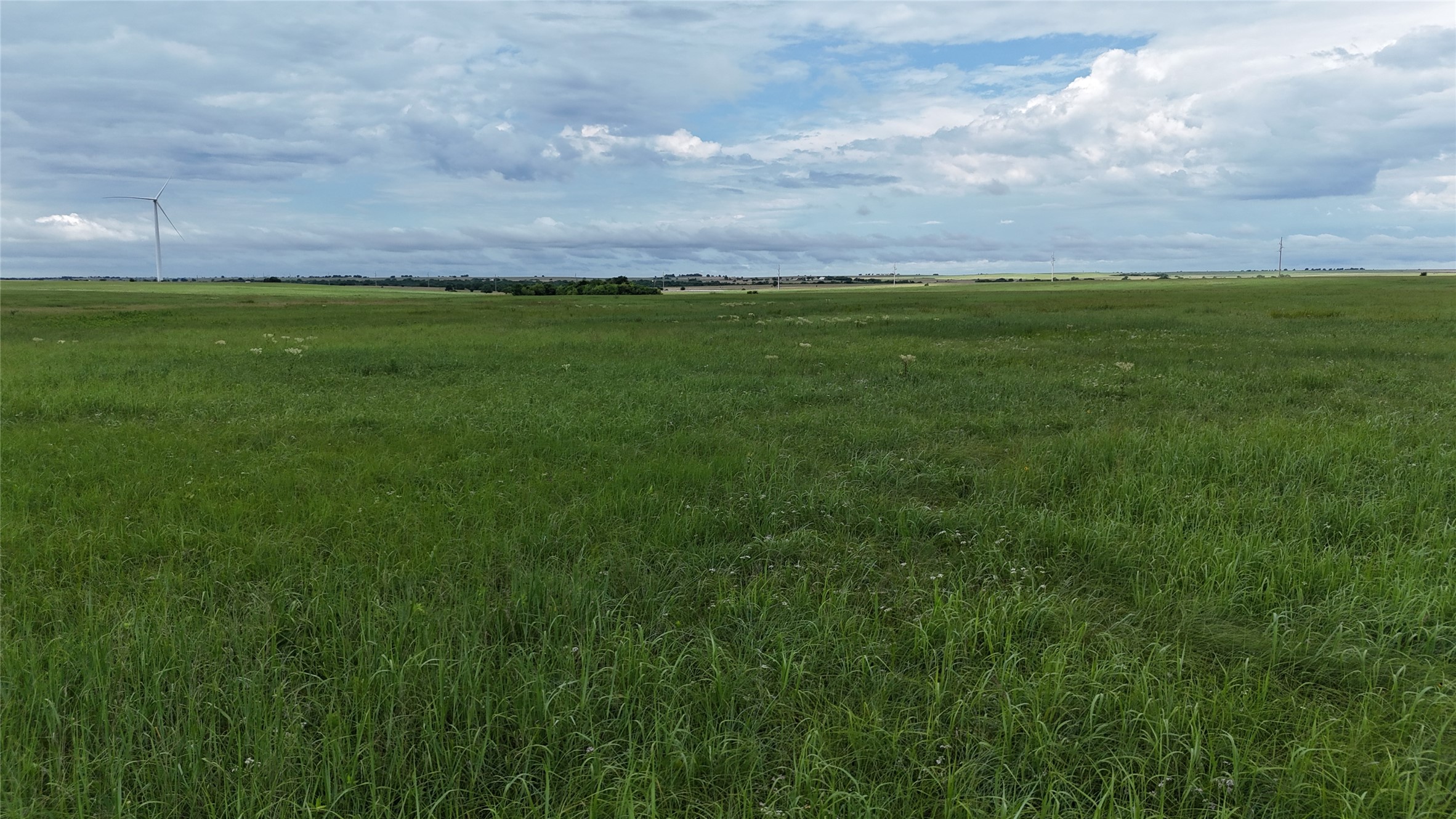 Tbd County Road 431 Muenster TX 76252