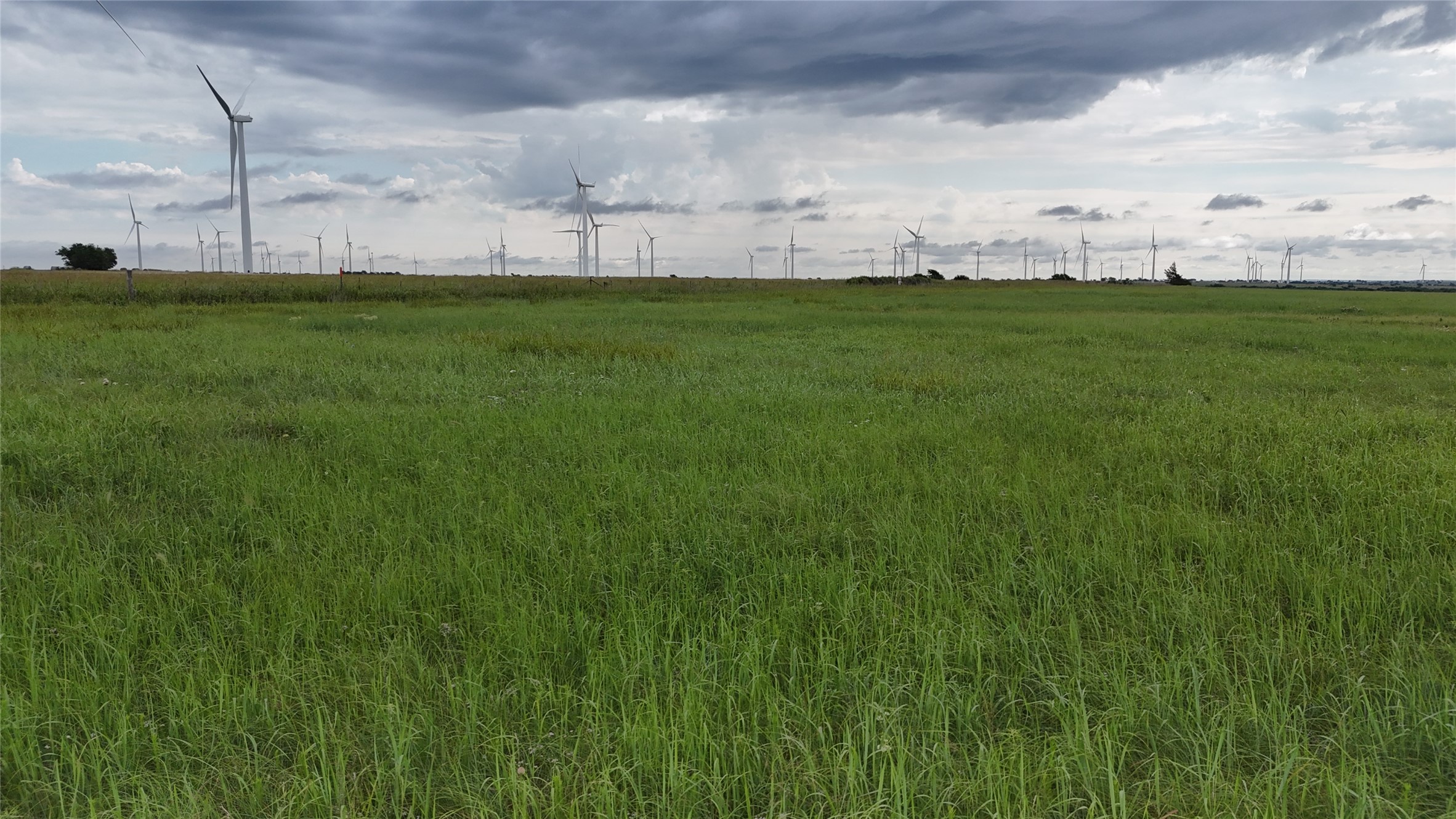 Tbd County Road 431 Muenster TX 76252