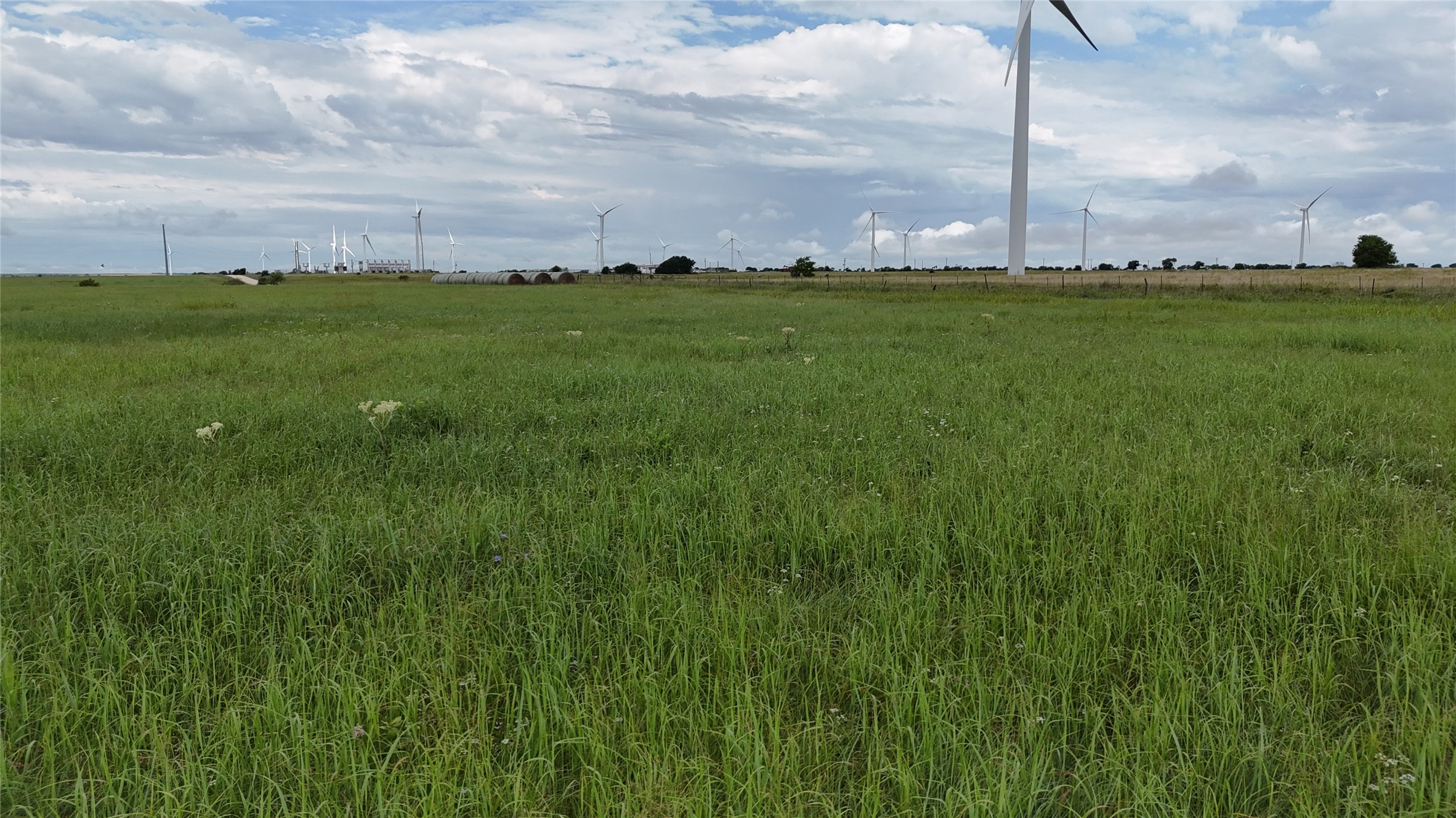 Tbd County Road 431 Muenster TX 76252