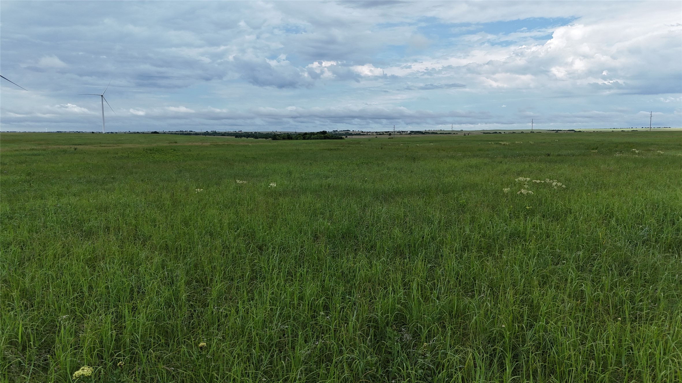 Tbd County Road 431 Muenster TX 76252