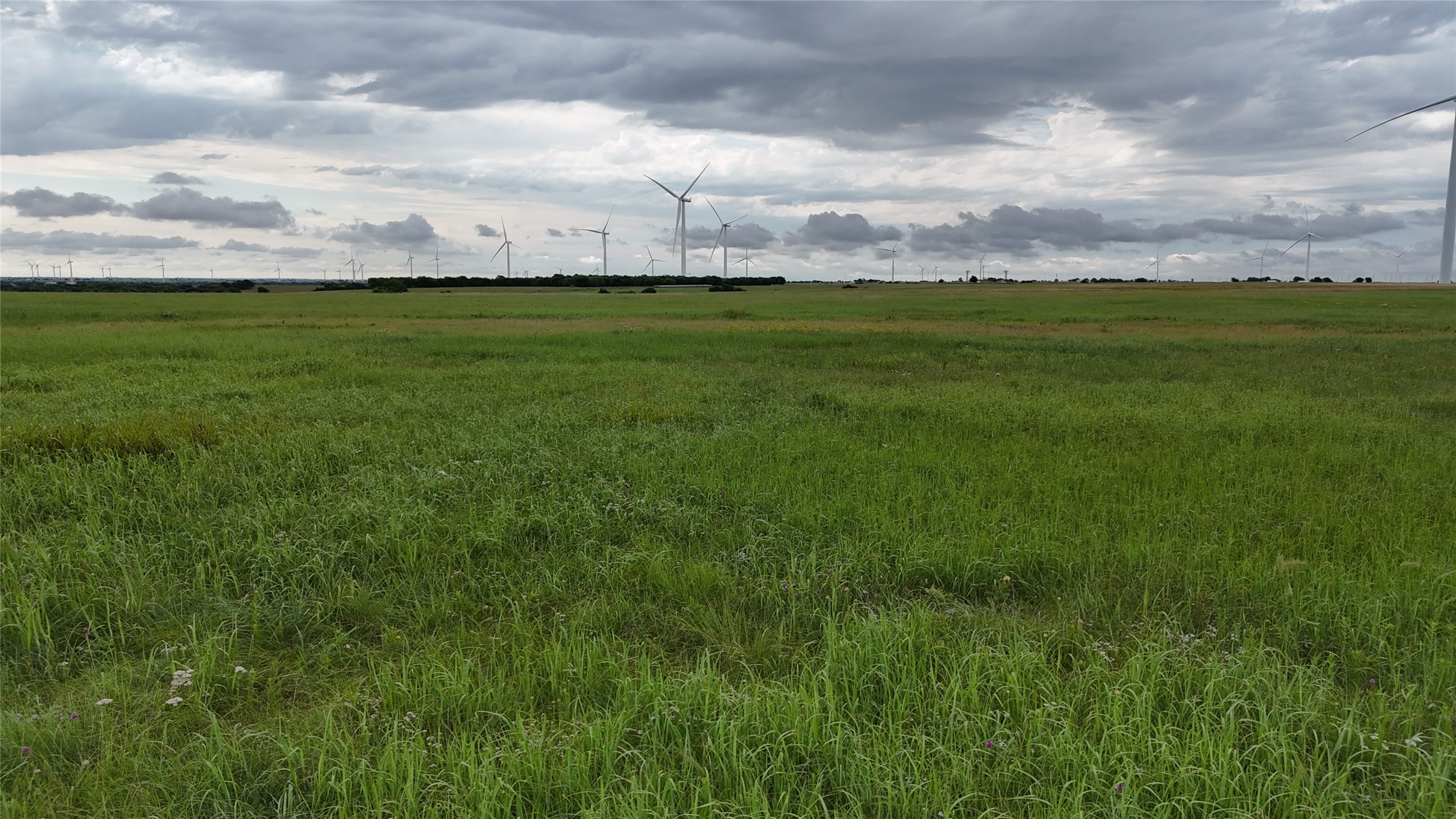 Tbd County Road 431 Muenster TX 76252