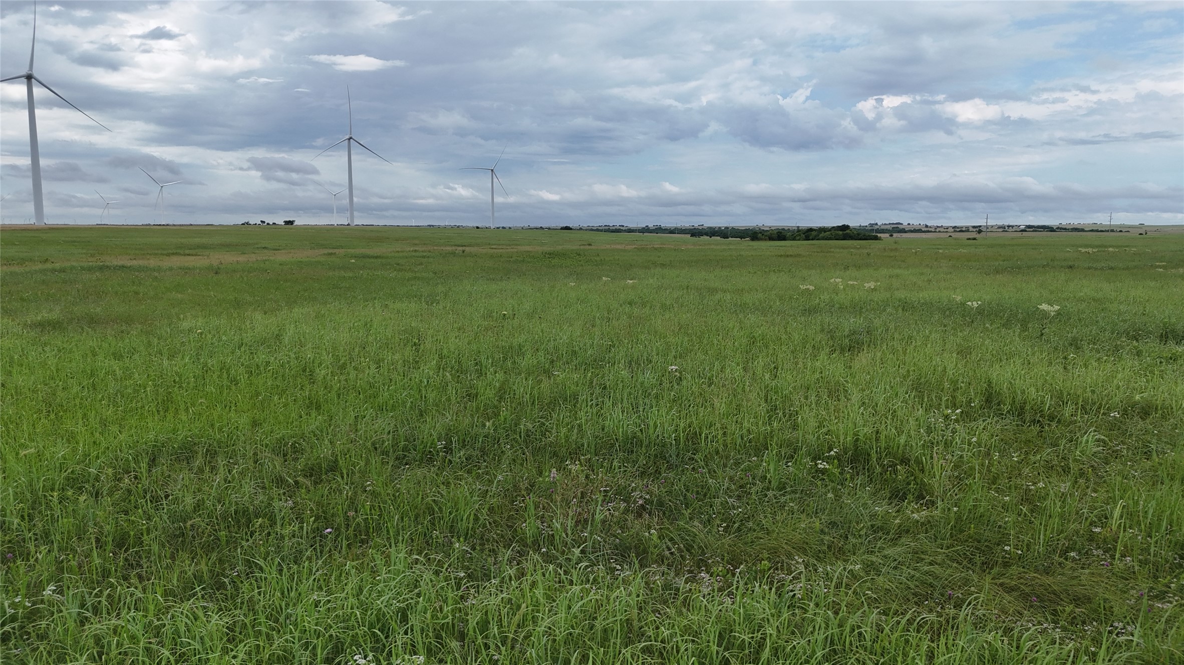 Tbd County Road 431 Muenster TX 76252
