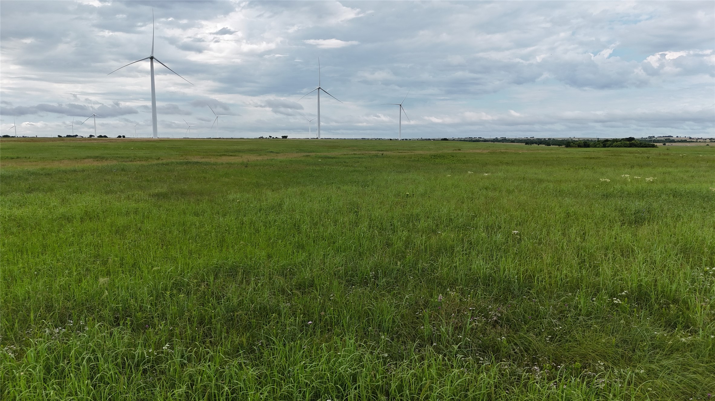 Tbd County Road 431 Muenster TX 76252