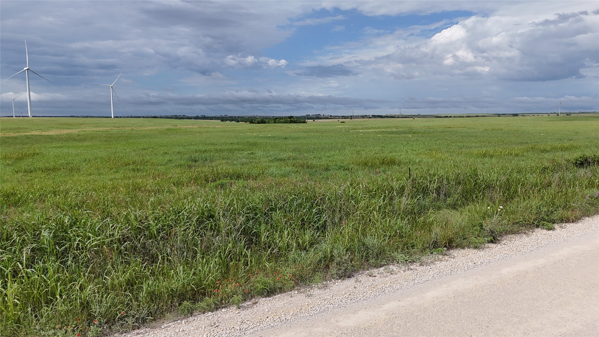 Tbd County Road 431 Muenster TX 76252