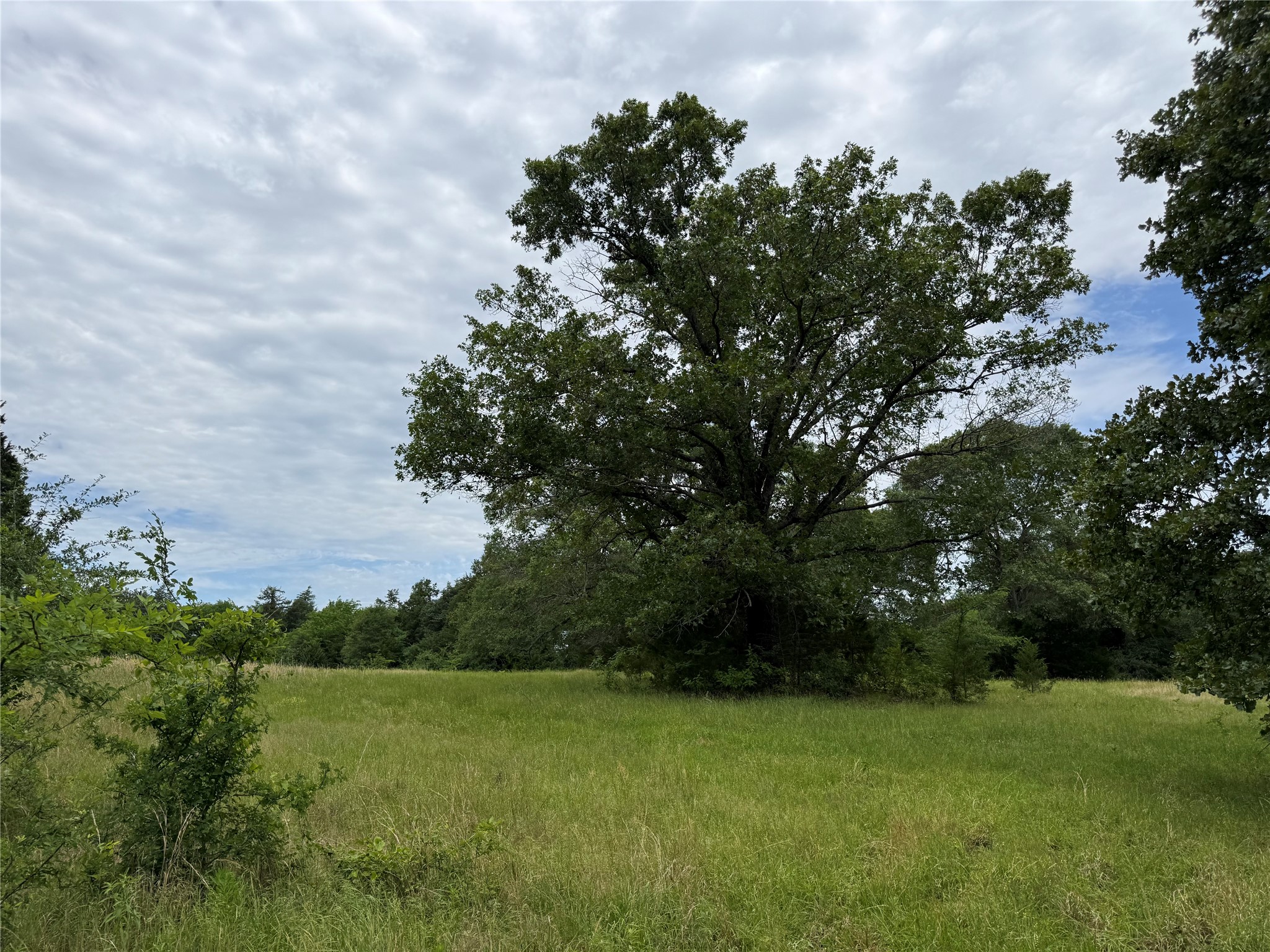 4451 County Road 2295 Telephone TX 75488