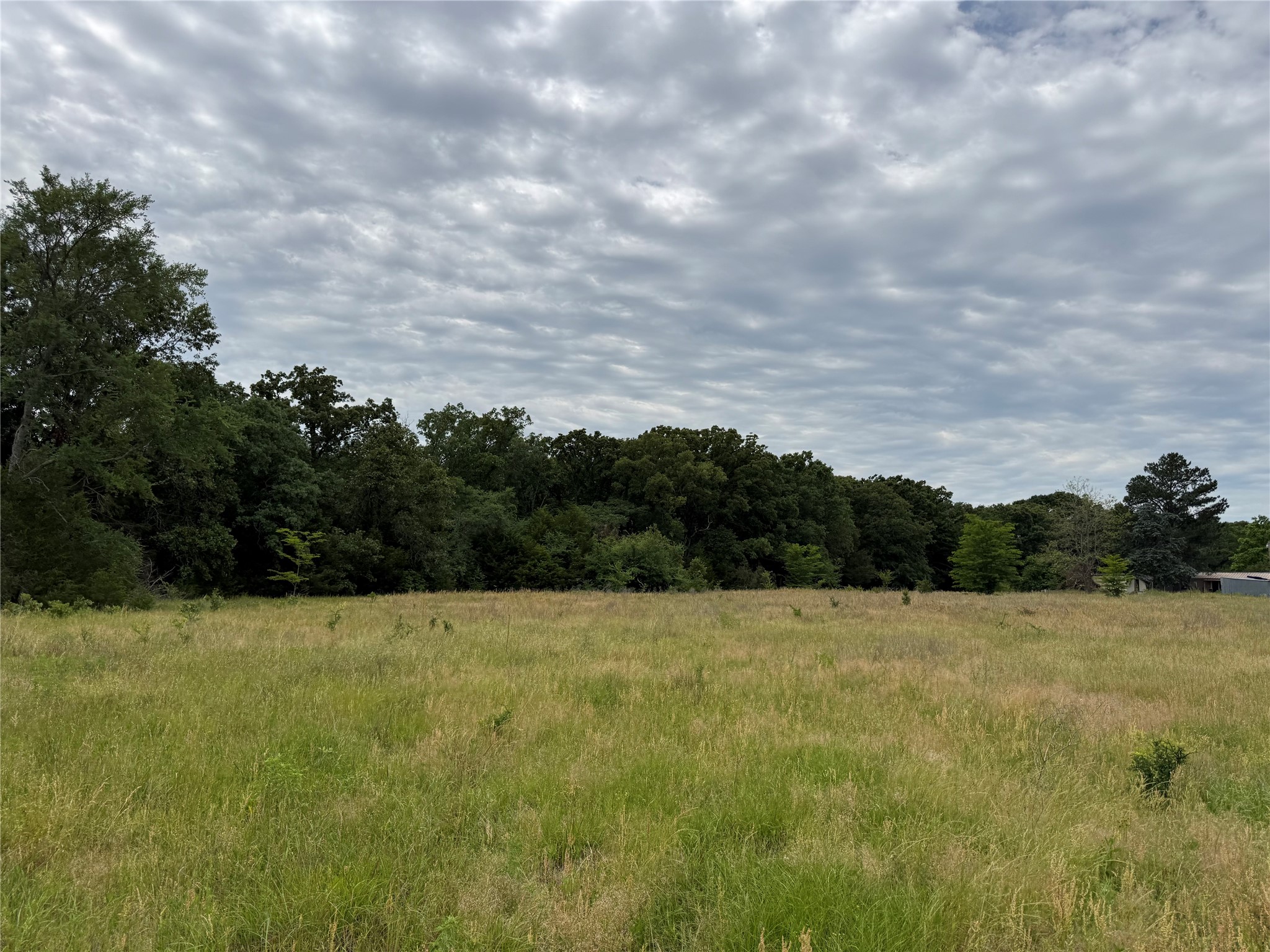 4451 County Road 2295 Telephone TX 75488