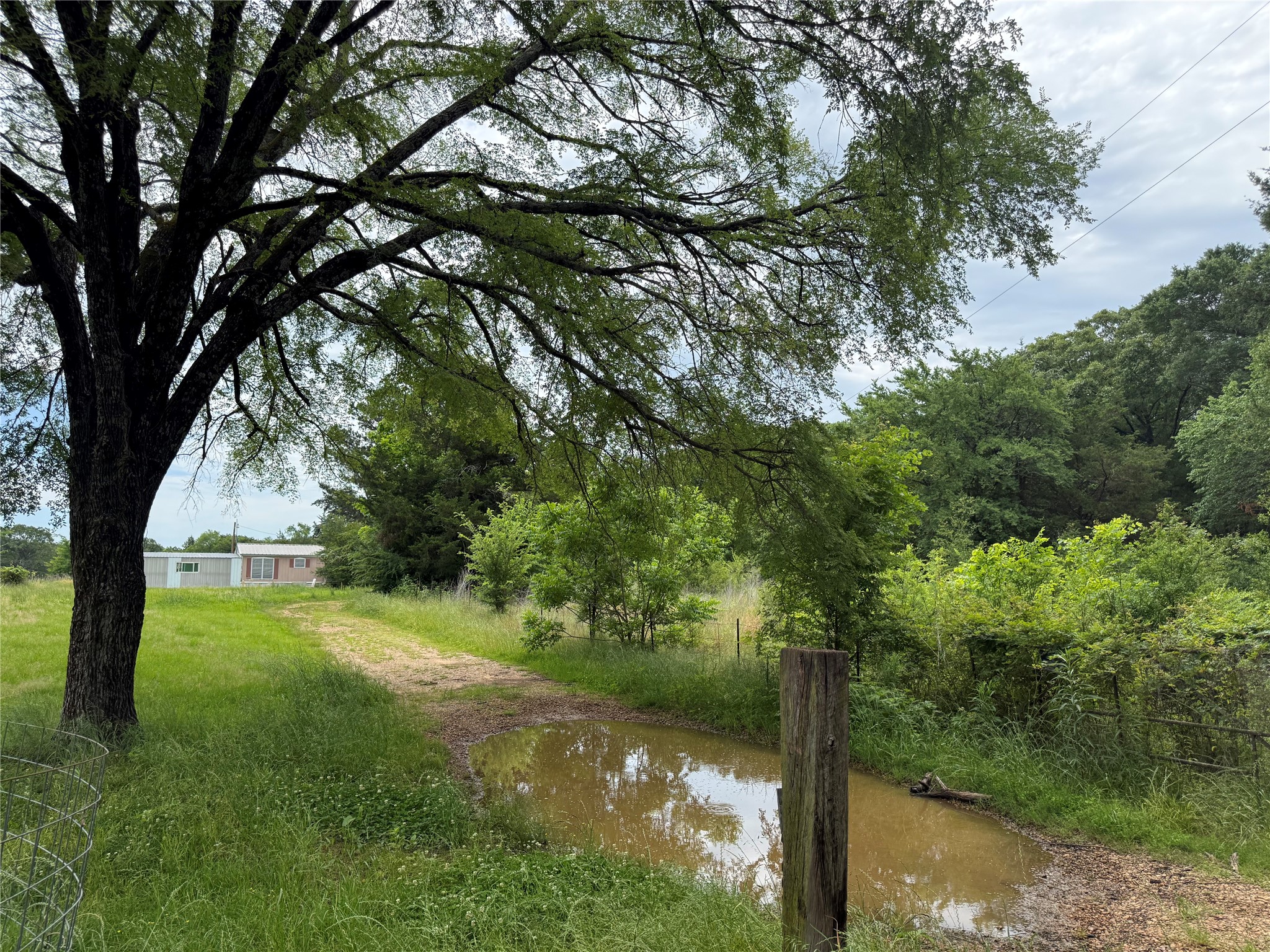 4451 County Road 2295 Telephone TX 75488