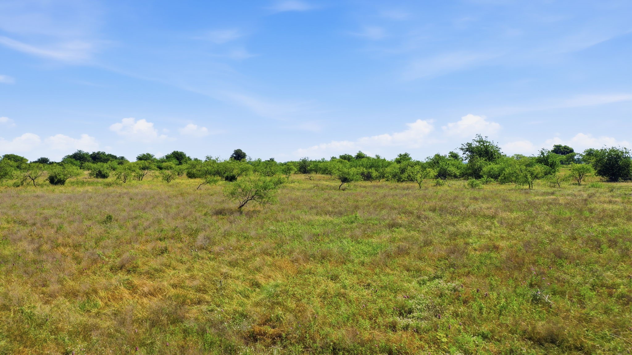 Tbd Private 191 Road Blum TX 76627