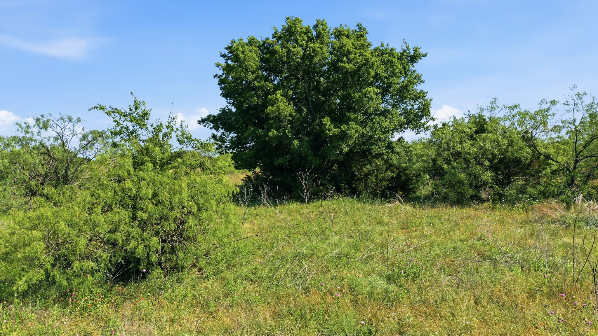 Tbd Private 191 Road Blum TX 76627