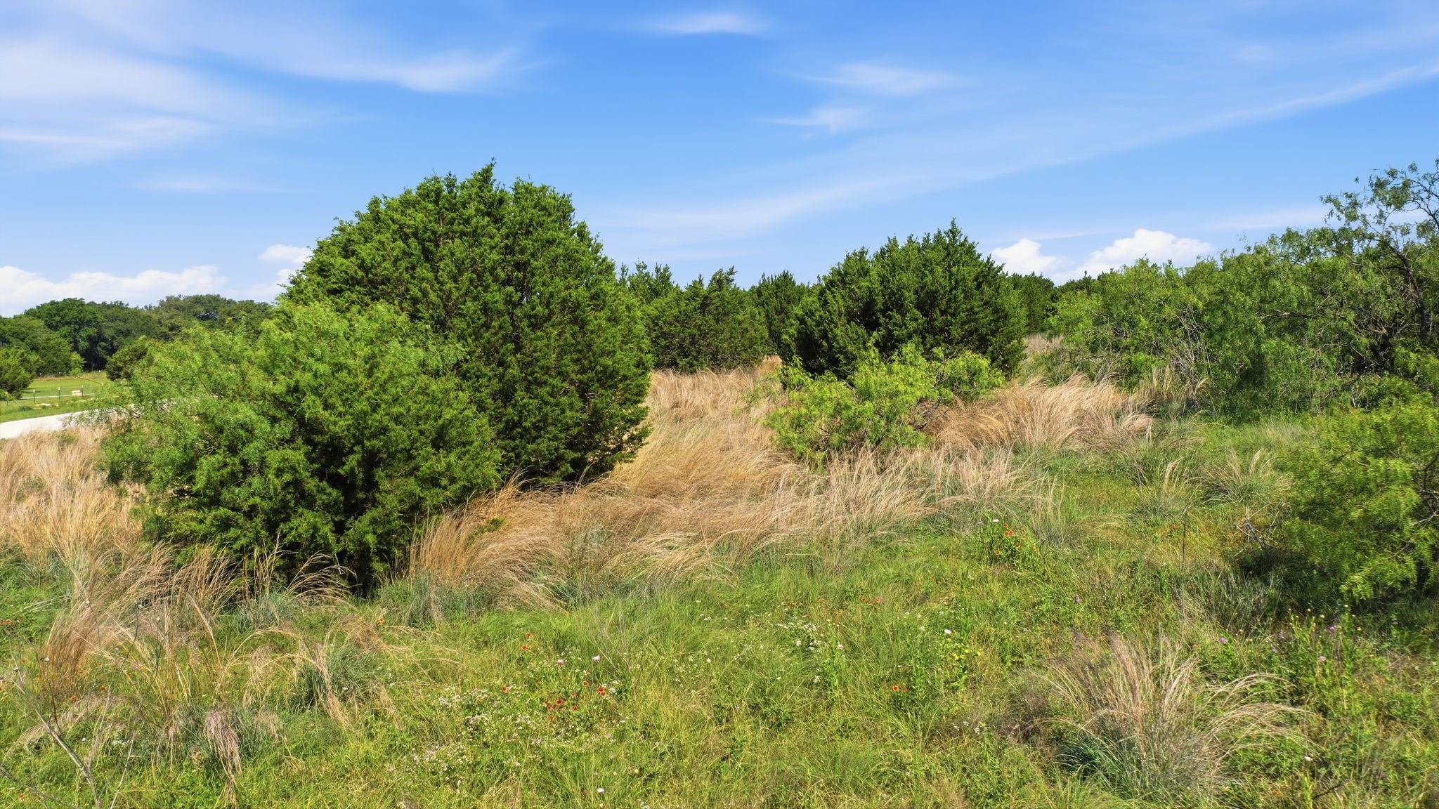 Tbd Private 191 Road Blum TX 76627