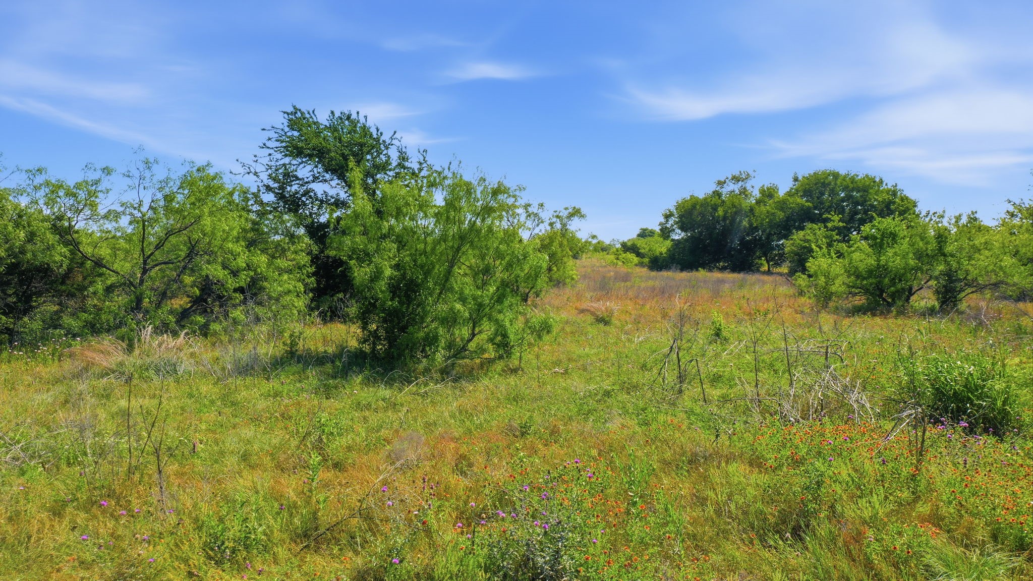 Tbd Private 191 Road Blum TX 76627
