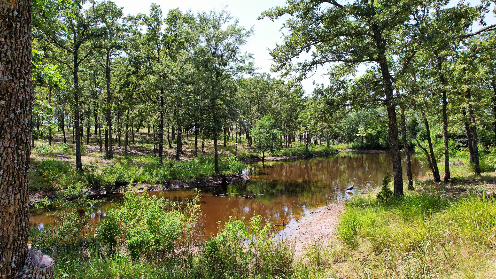 7011 Lakeshore Way Eustace TX 75148