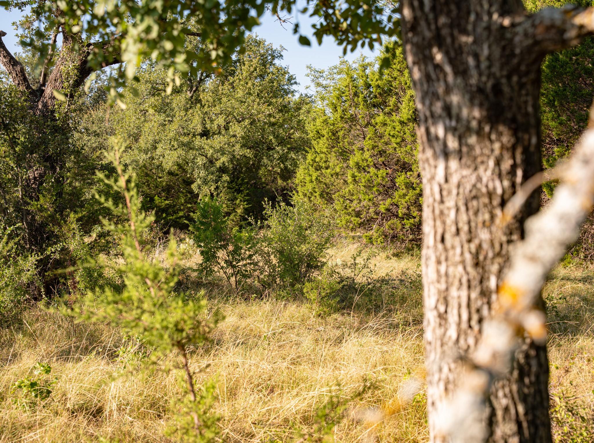 Lot 212 Mountain Top Trail Mineral Wells TX 76067