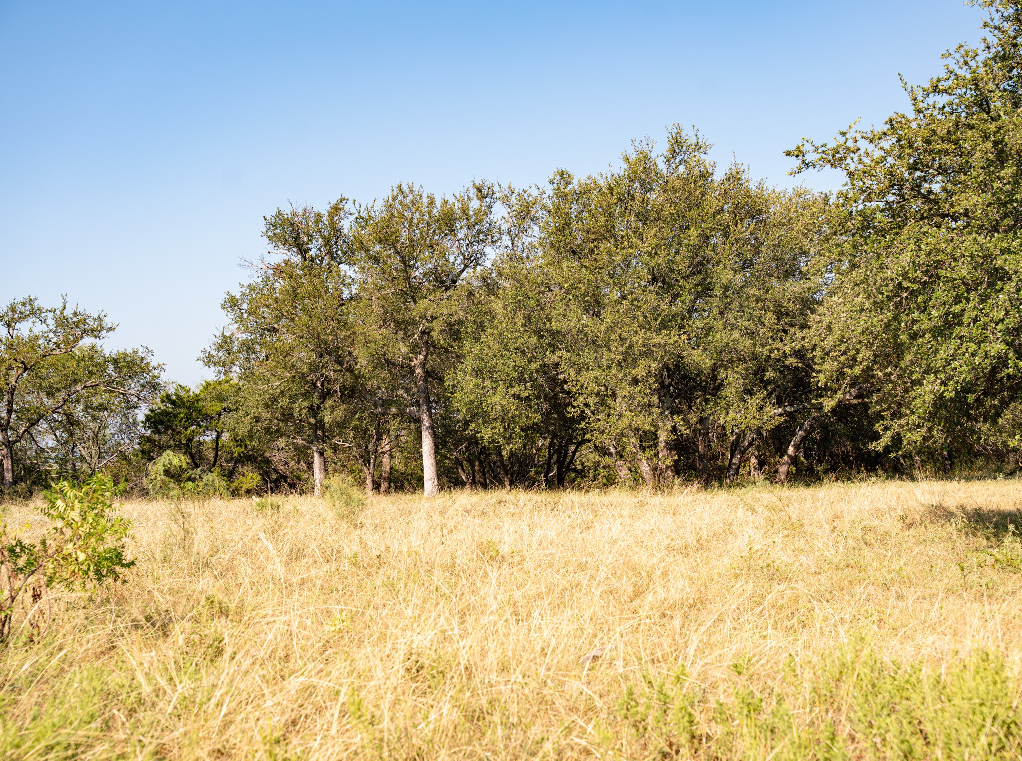 Lot 212 Mountain Top Trail Mineral Wells TX 76067