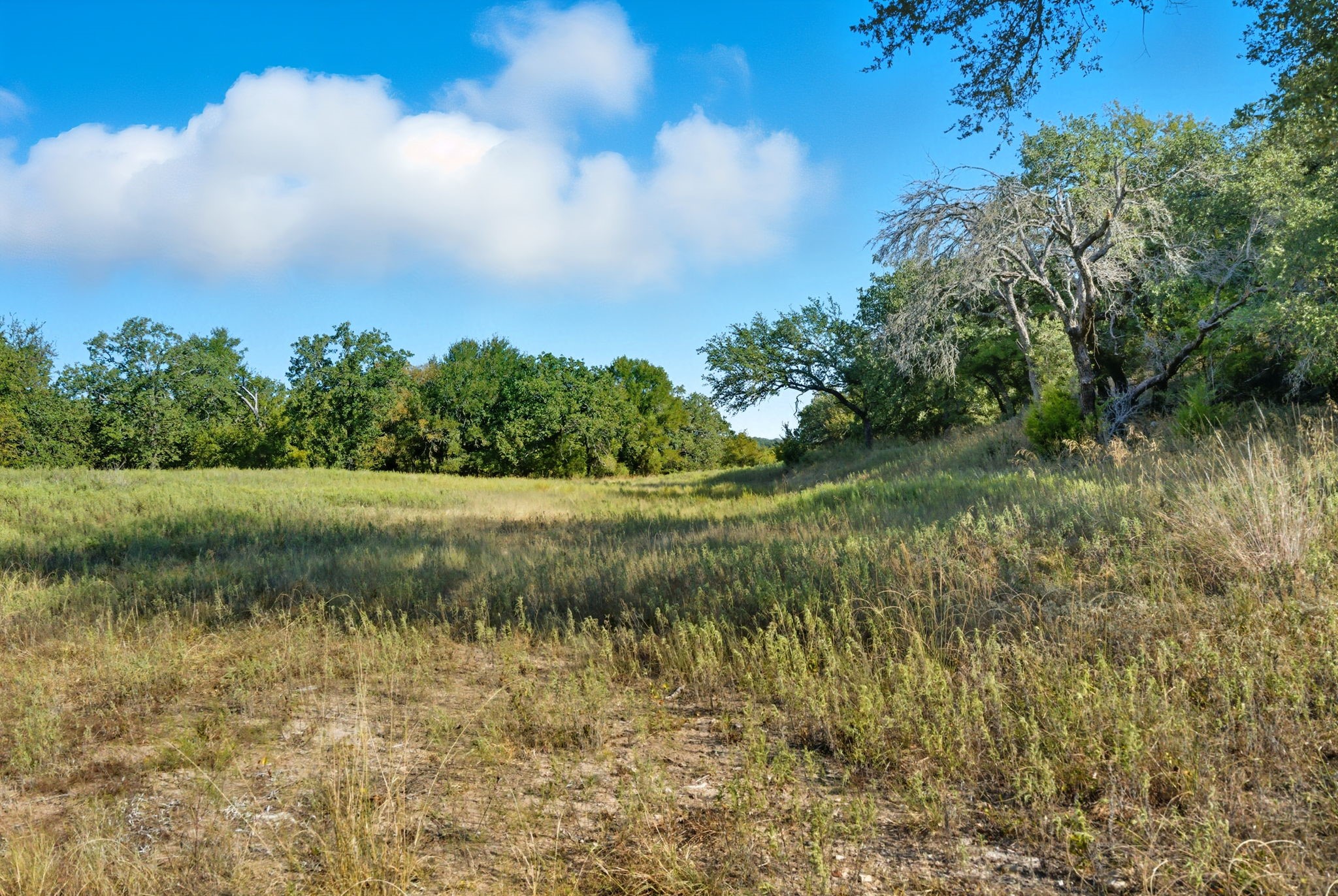209 Grace Court Weatherford TX 76088