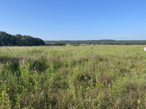 Lot 11 Fm 1690 Gatesville TX 76528