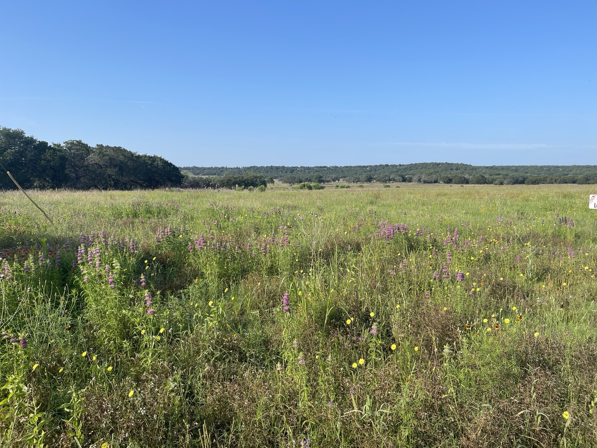 Lot 11 Fm 1690 Gatesville TX 76528