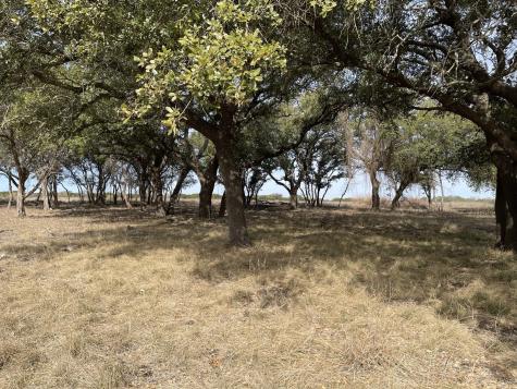 Lot 11 Fm 1690 Gatesville TX 76528