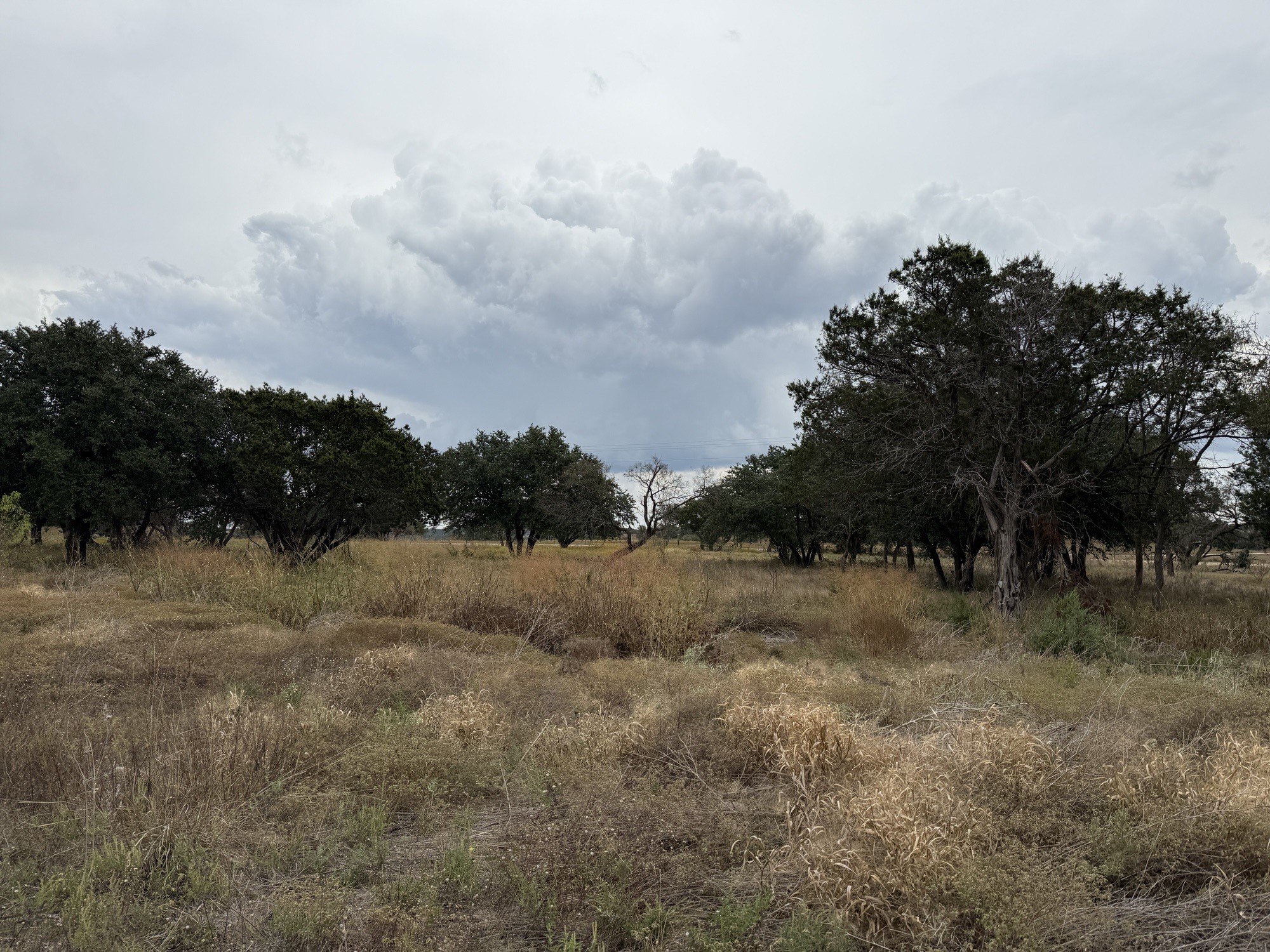 Lot 11 Fm 1690 Gatesville TX 76528