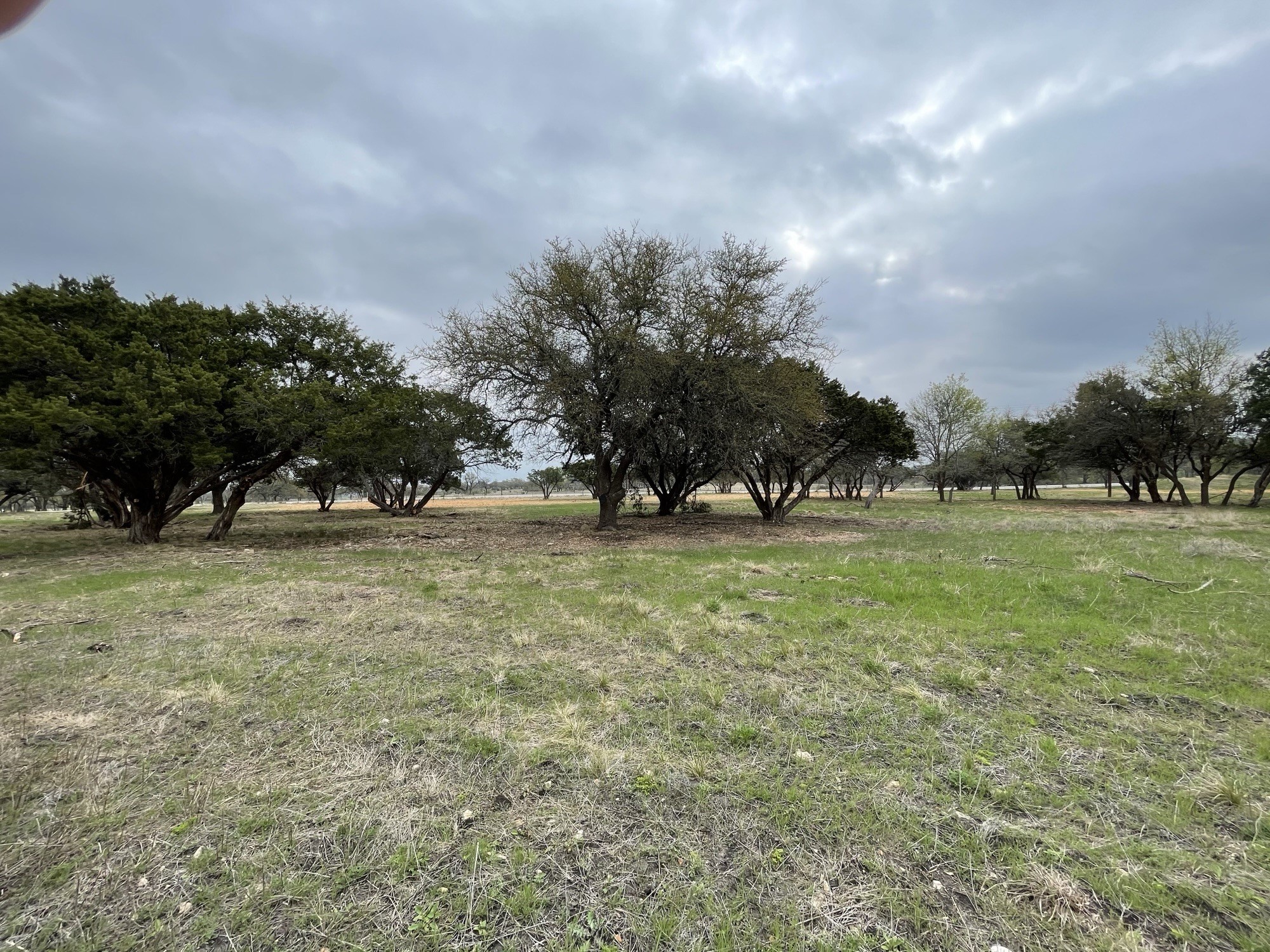 Lot 11 Fm 1690 Gatesville TX 76528