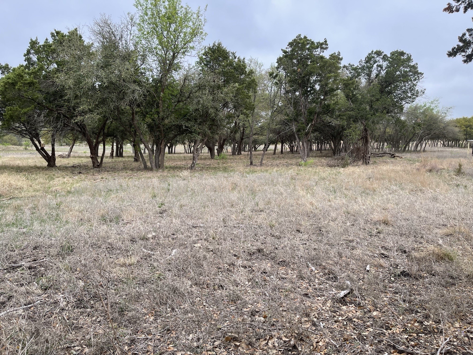 Lot 11 Fm 1690 Gatesville TX 76528