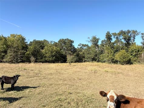 Tbd Fcr 601 Teague TX 75860
