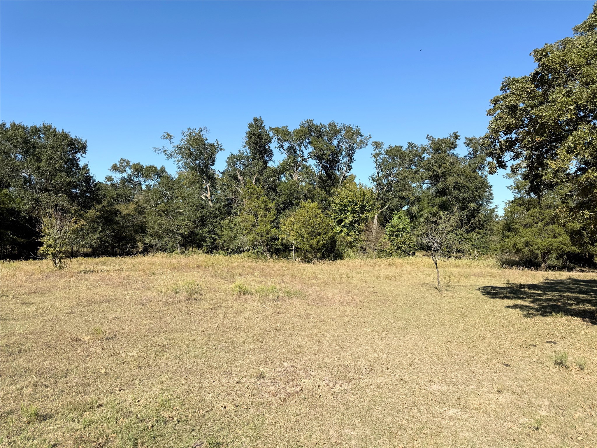 Tbd Fcr 601 Teague TX 75860