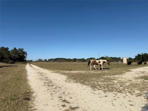 Tbd Fcr 601 Teague TX 75860