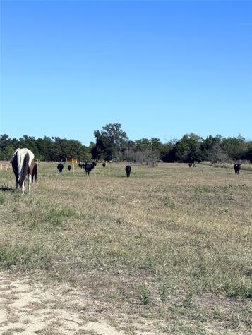 Tbd Fcr 601 Teague TX 75860