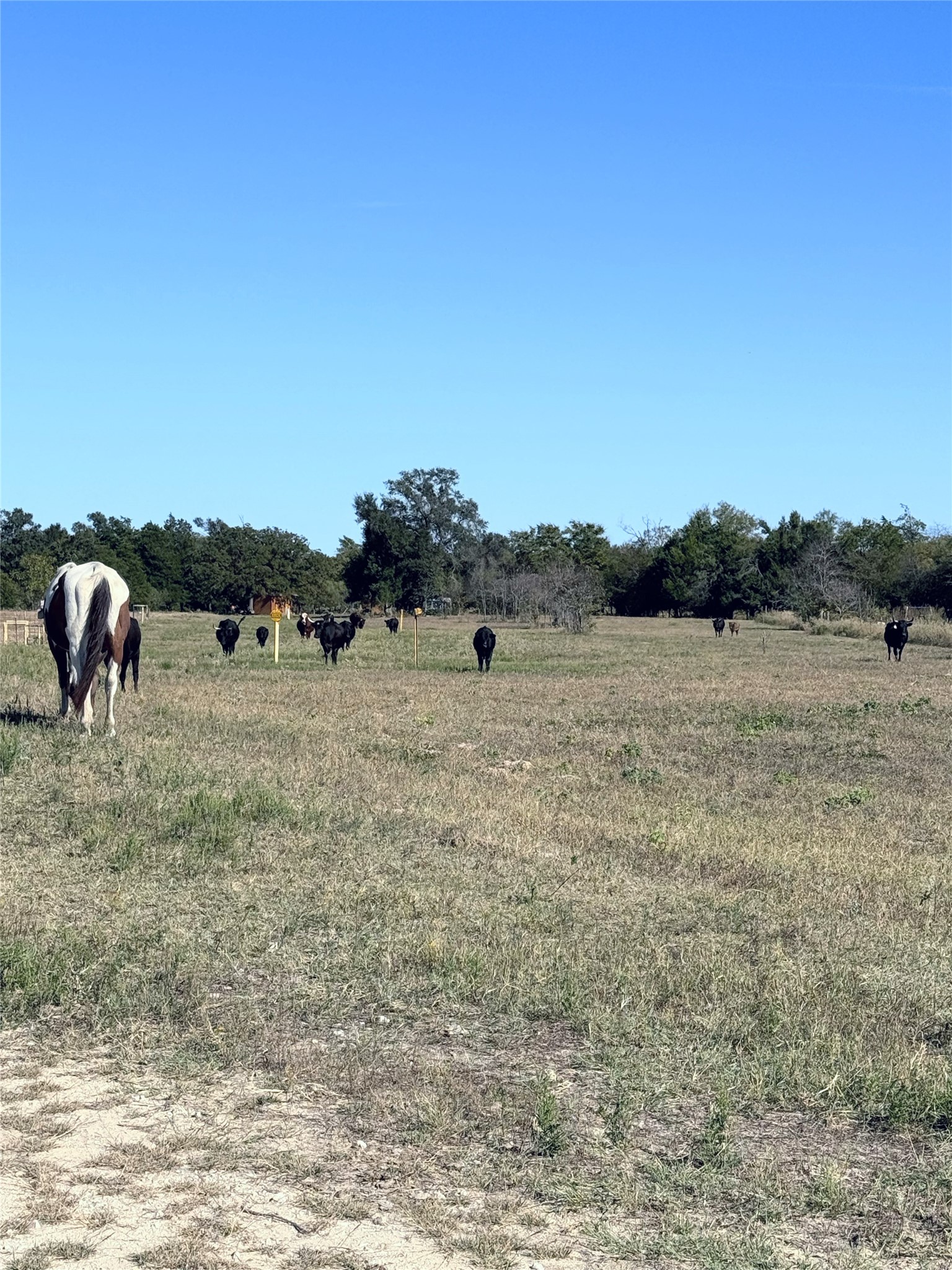 Tbd Fcr 601 Teague TX 75860