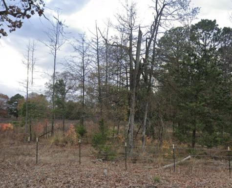 Tbd County Road SE 4350 Scroggins TX 75480
