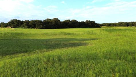 Tbd Highway 36 Comanche TX 76442