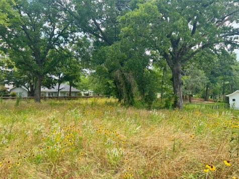 711 Clubview Drive Mabank TX 75143