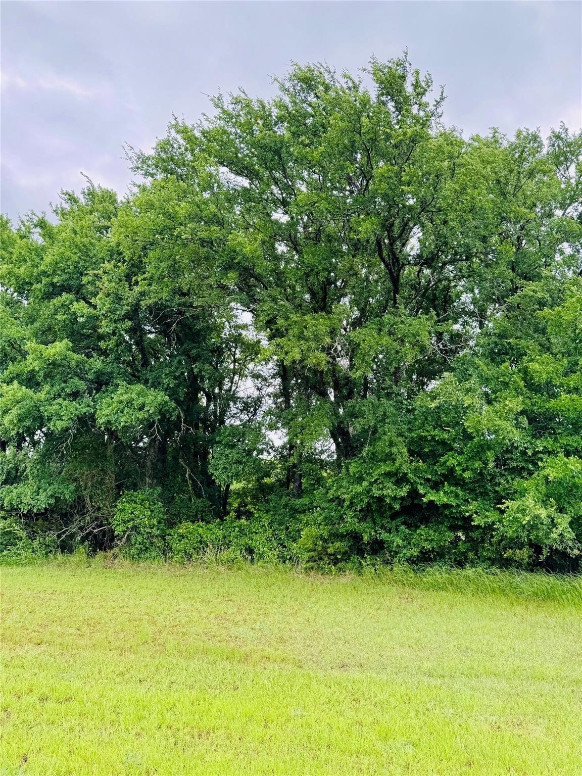 24103 Stonewood Drive Whitney TX 76692