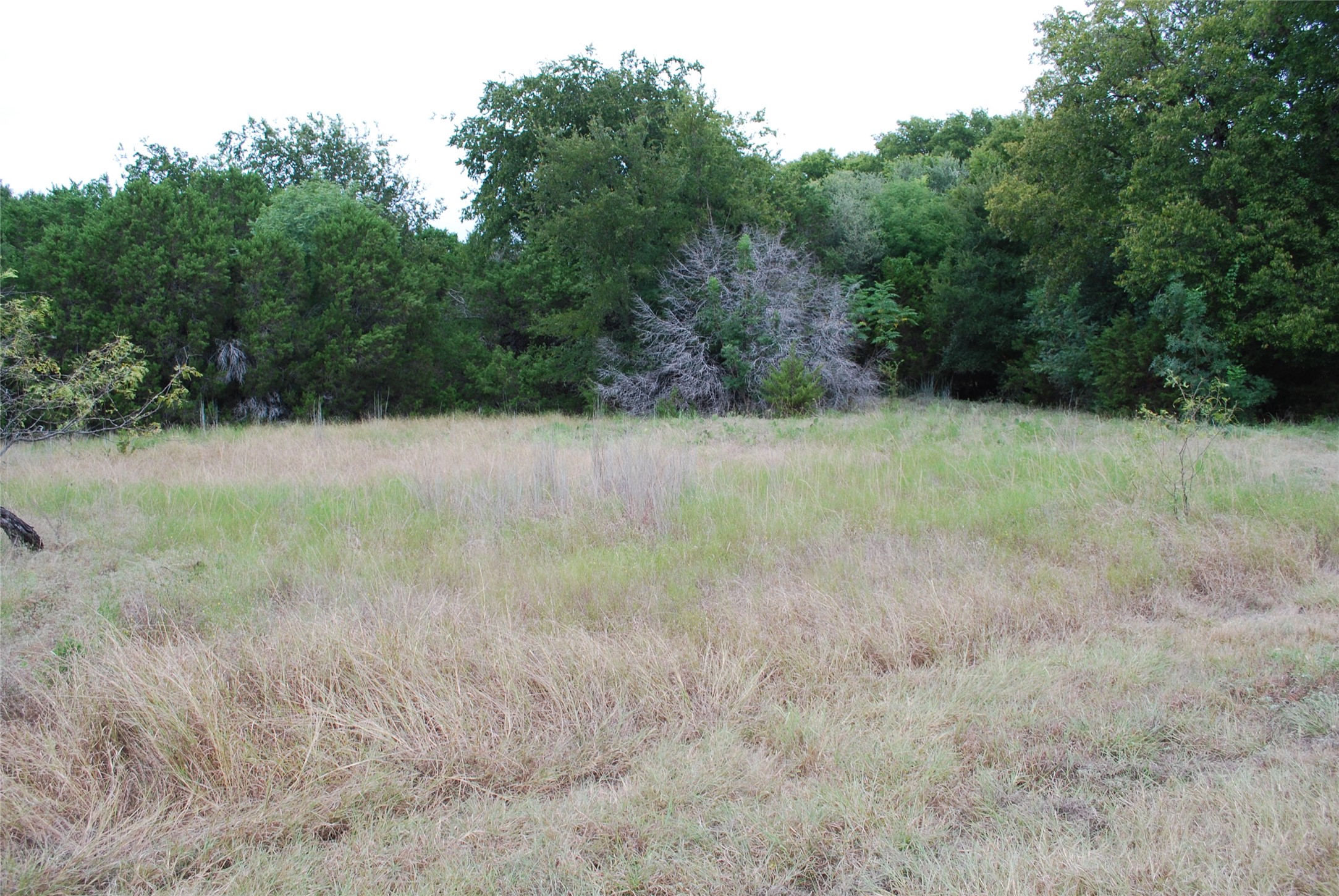 13005 Crestwood Drive Whitney TX 76692