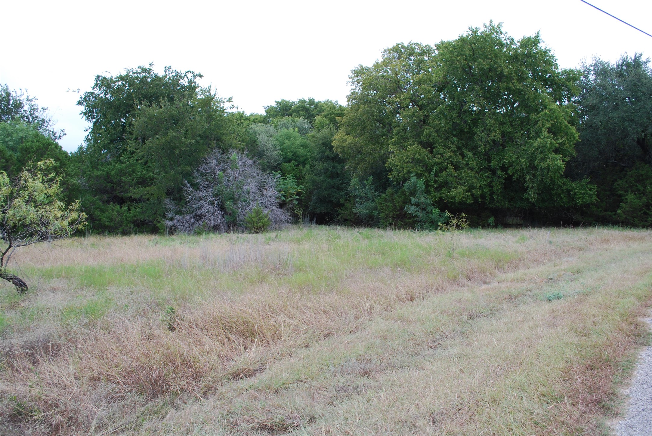 13005 Crestwood Drive Whitney TX 76692