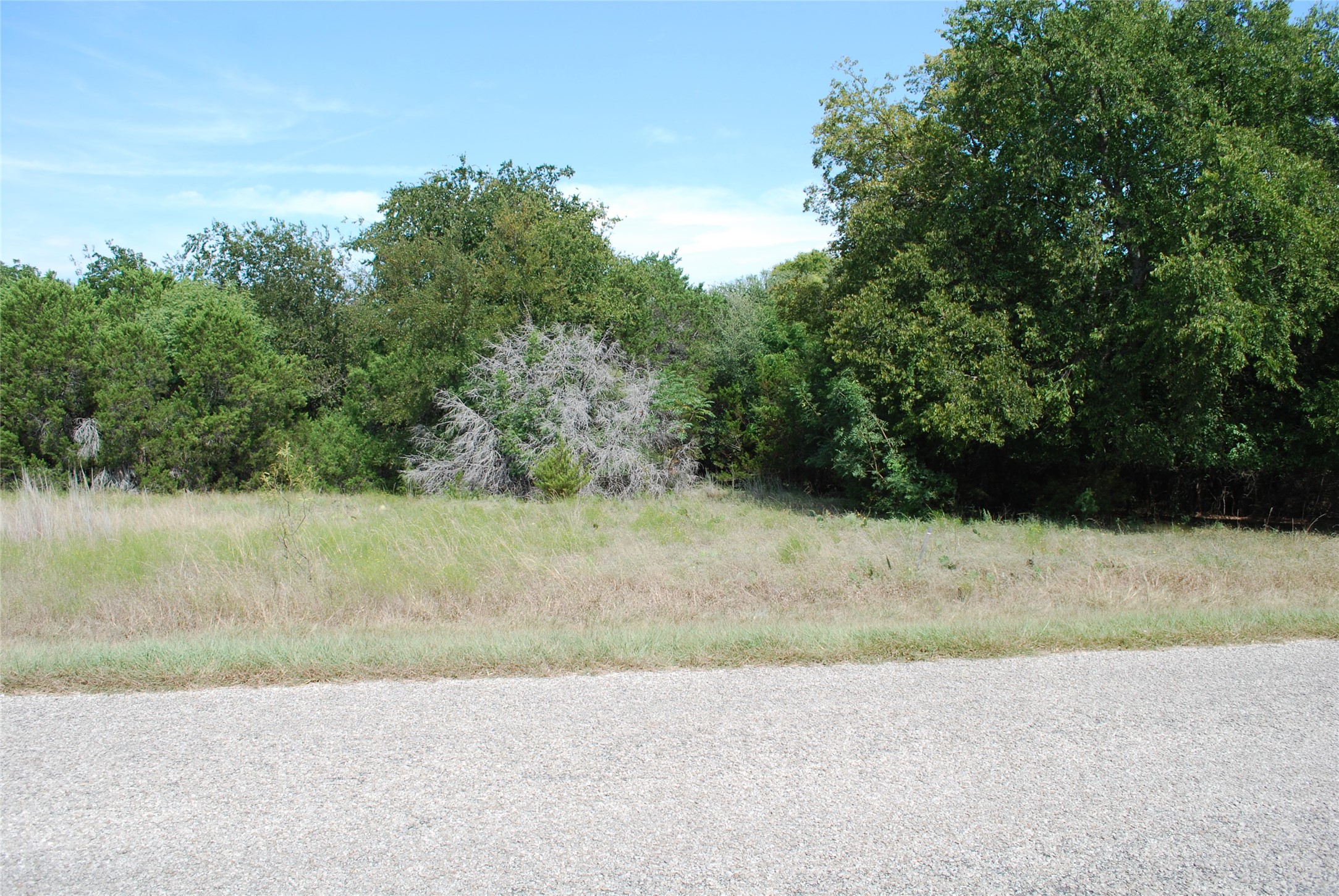 13005 Crestwood Drive Whitney TX 76692