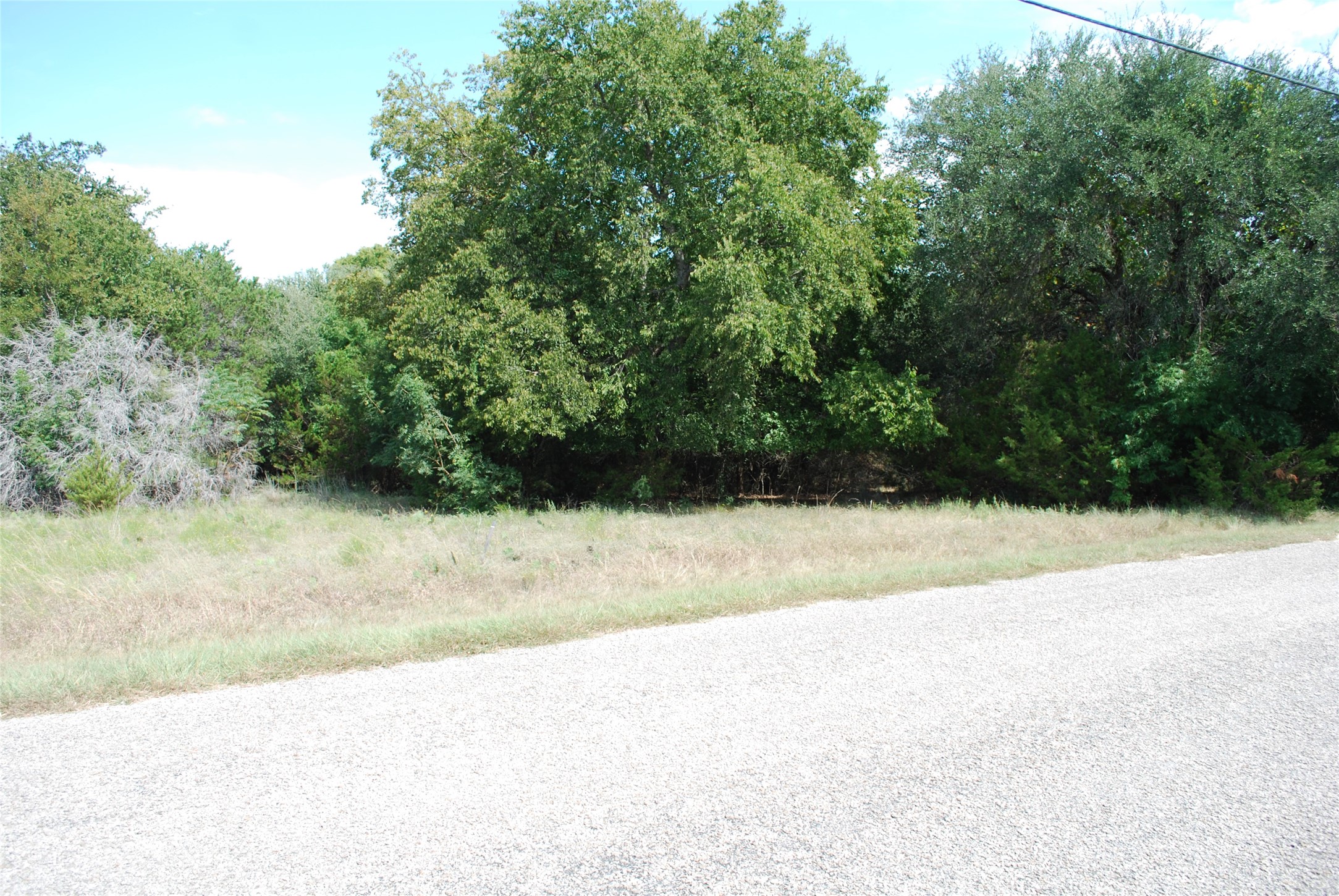 13005 Crestwood Drive Whitney TX 76692