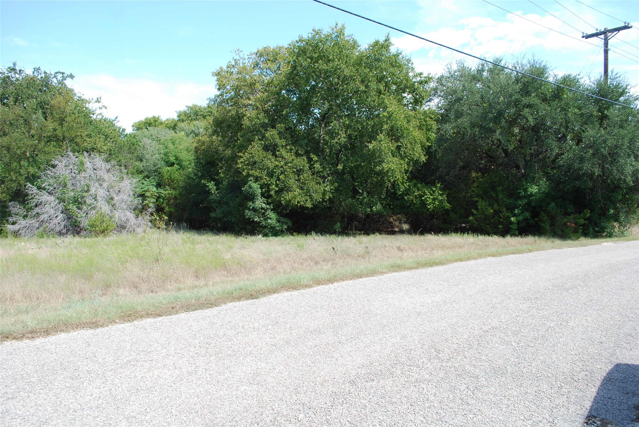 13005 Crestwood Drive Whitney TX 76692