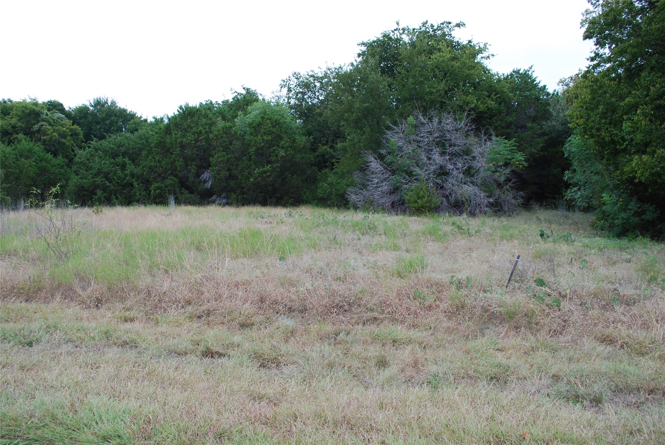 13005 Crestwood Drive Whitney TX 76692