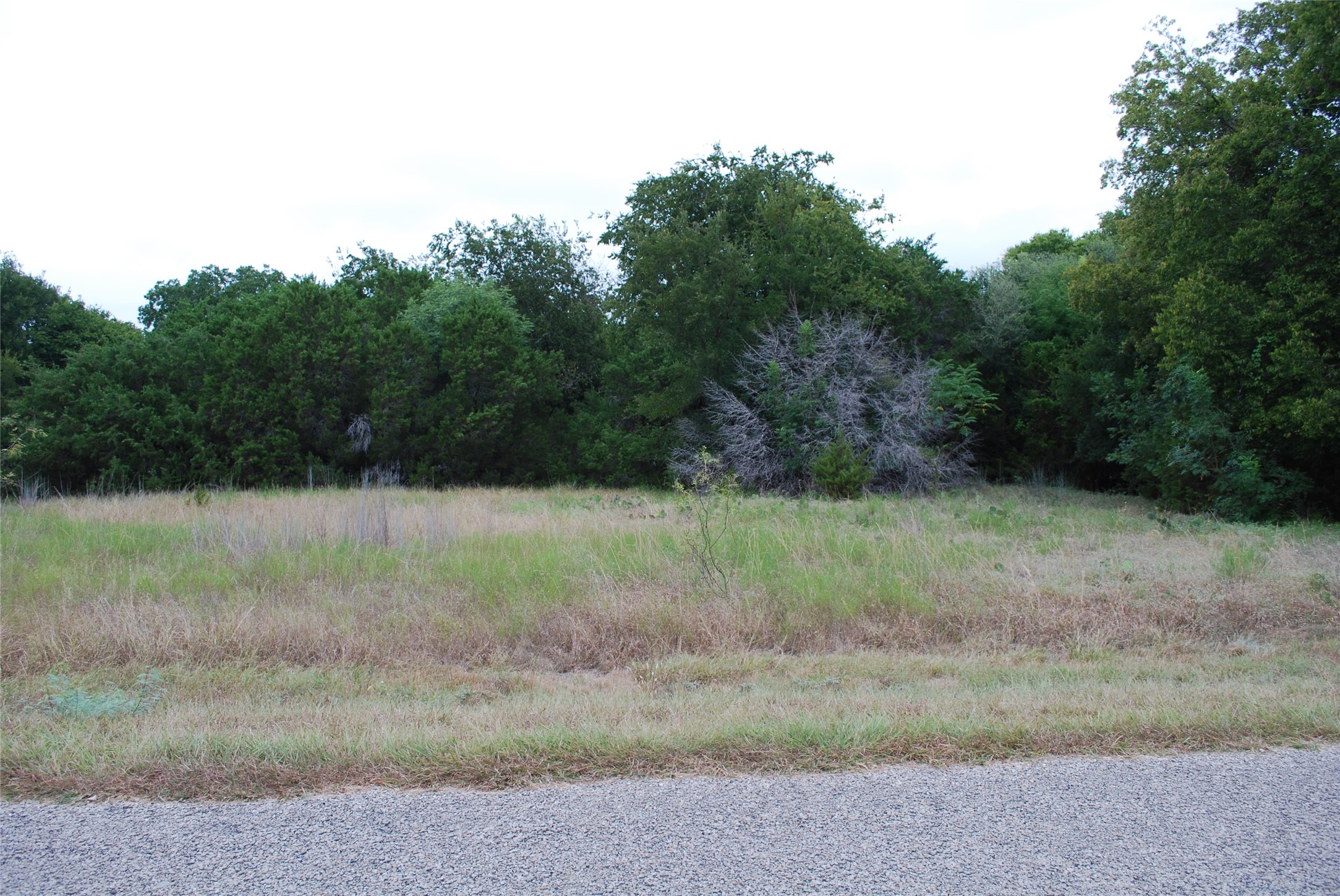 13005 Crestwood Drive Whitney TX 76692