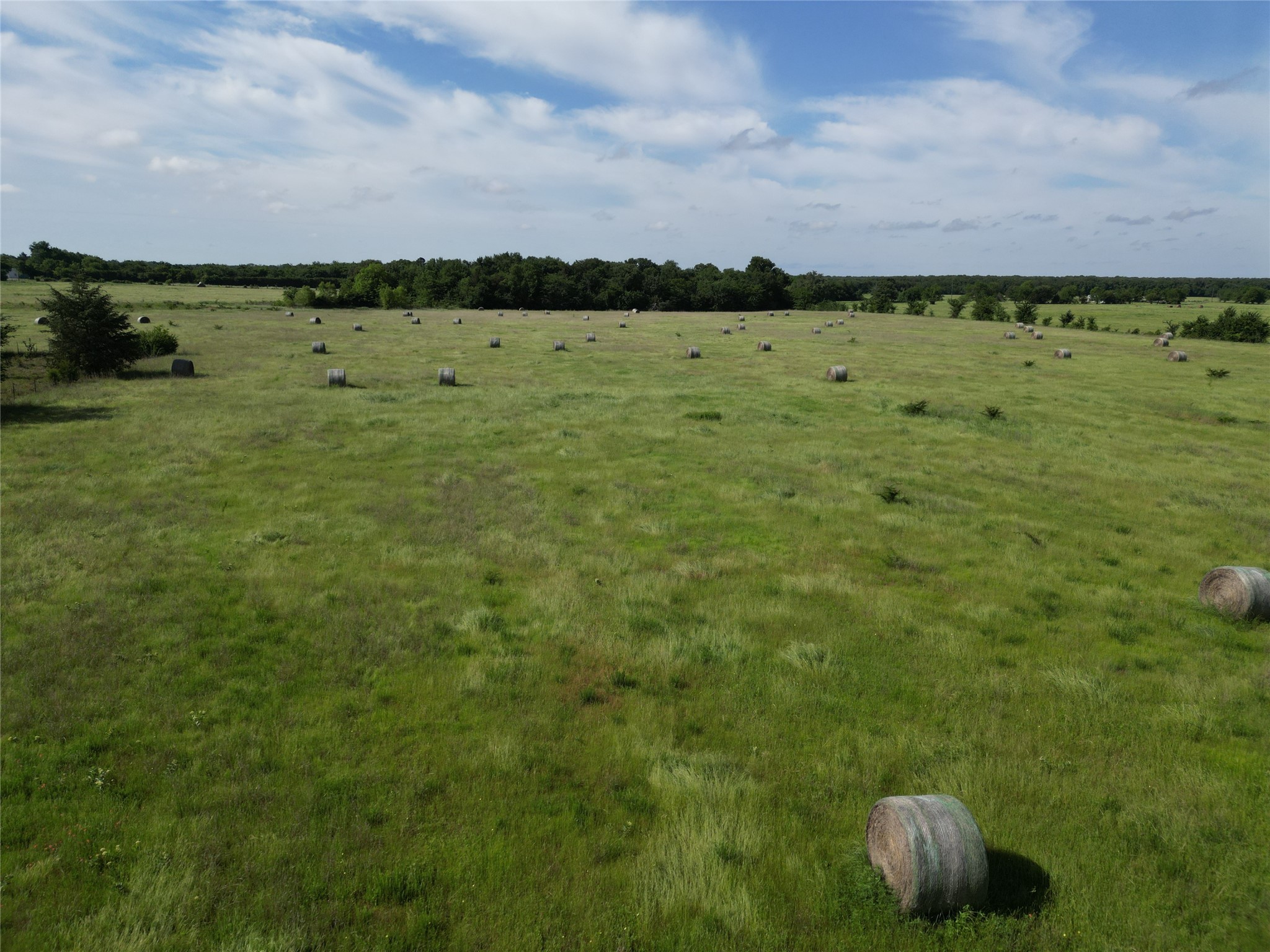 7188 Fm 1567 W Miller Grove TX 75433