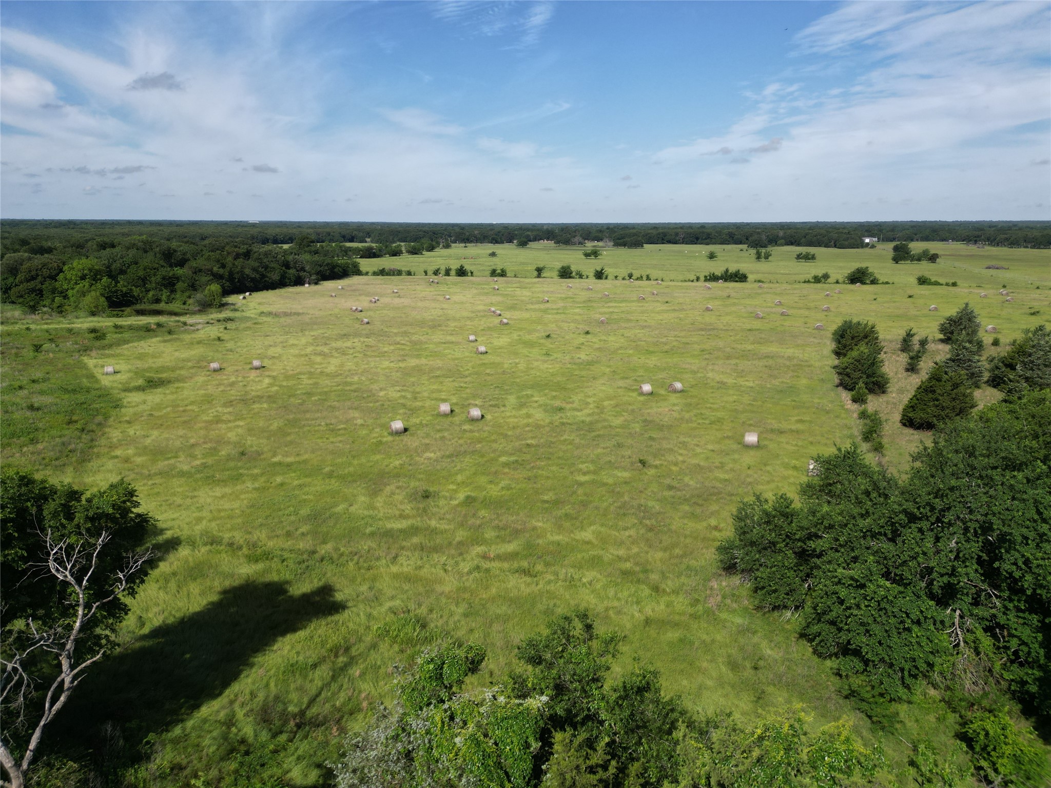 7188 Fm 1567 W Miller Grove TX 75433