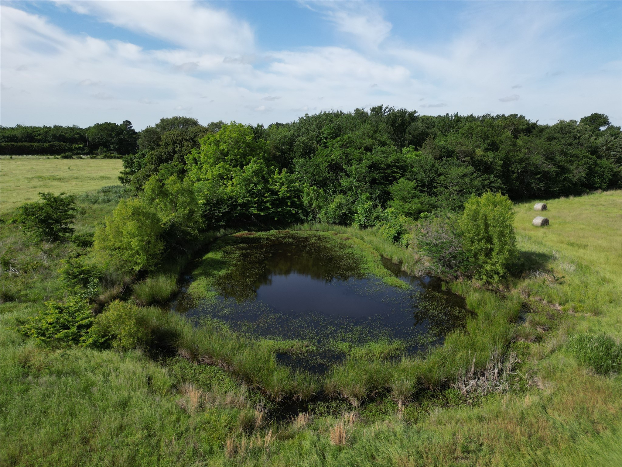 7188 Fm 1567 W Miller Grove TX 75433