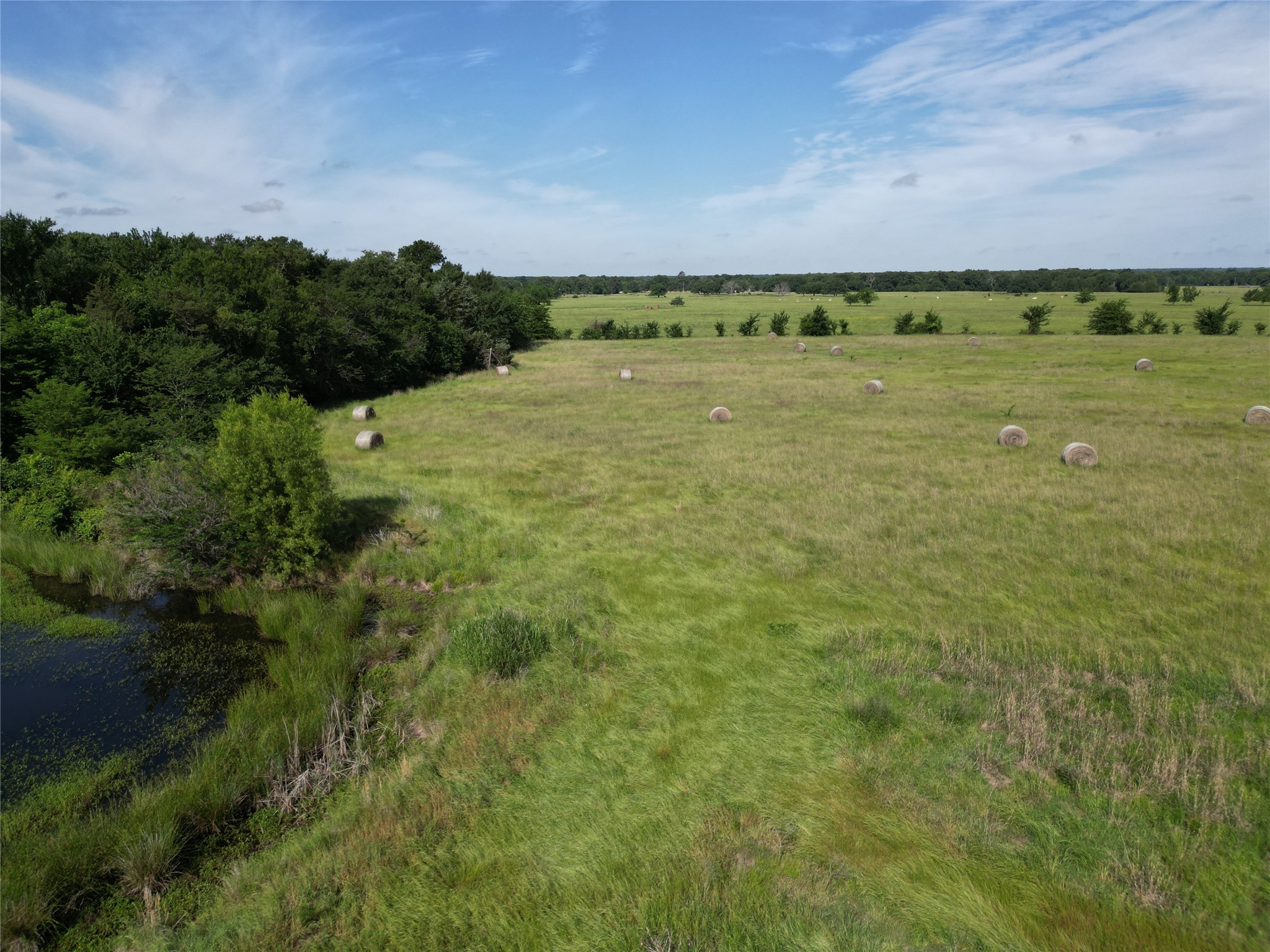 7188 Fm 1567 W Miller Grove TX 75433