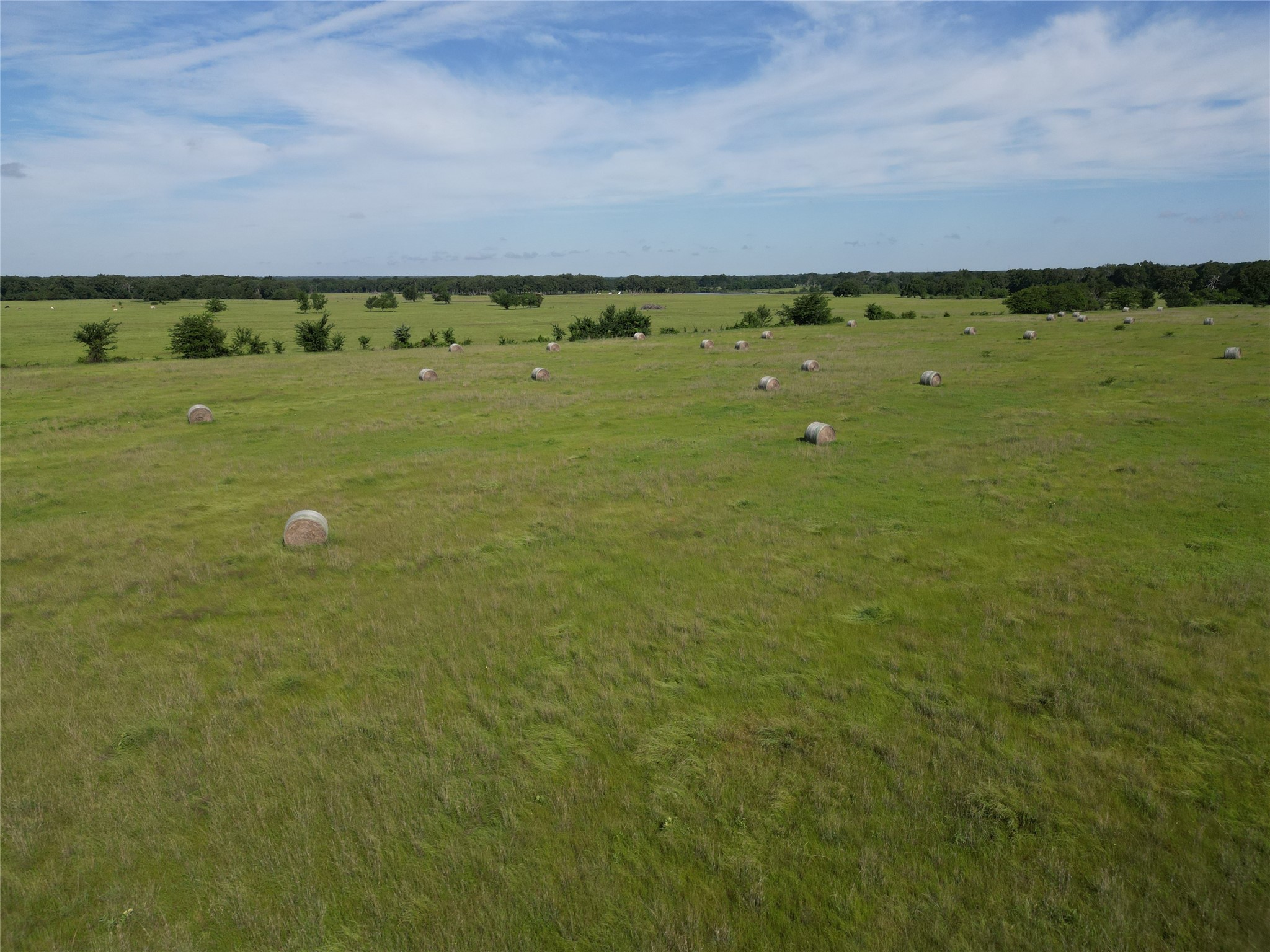 7188 Fm 1567 W Miller Grove TX 75433