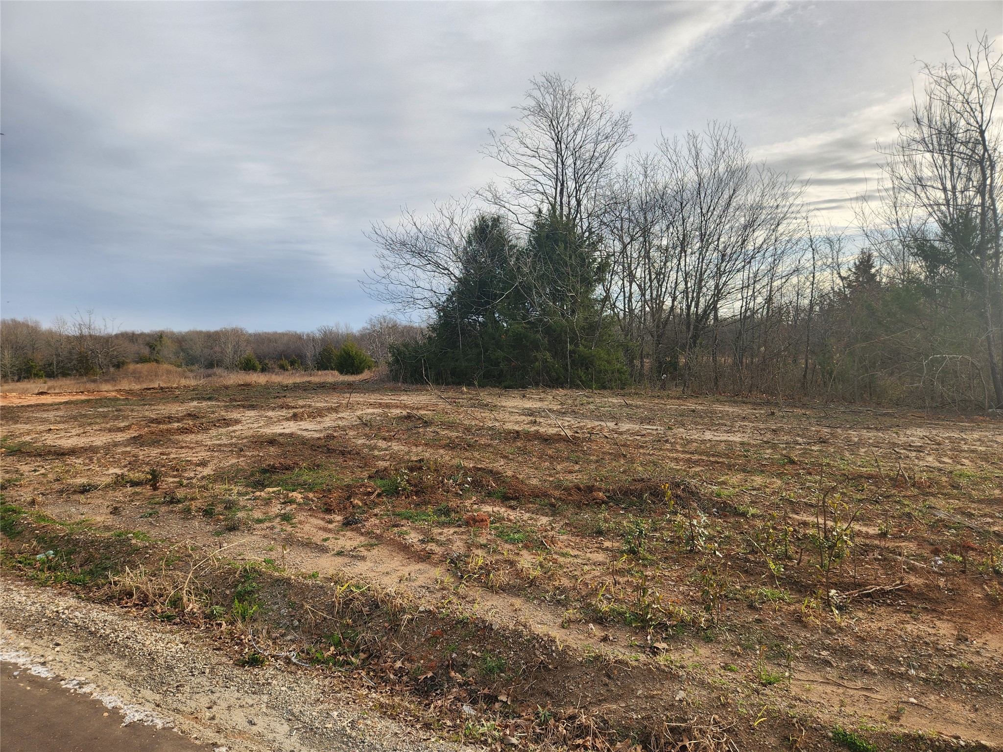 Lot 15 Cr 2341 Sulphur Springs TX 75482