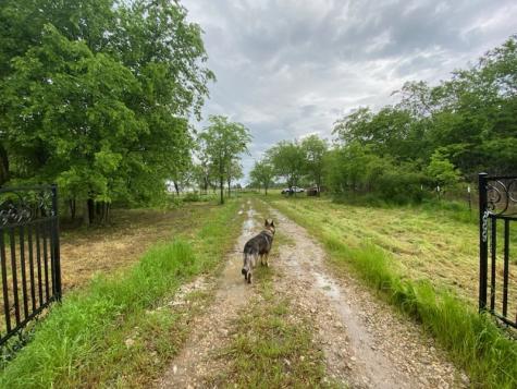 37444 State Highway 64 Wills Point TX 75169