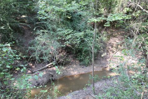 0 Cr 347 Palestine TX 75802
